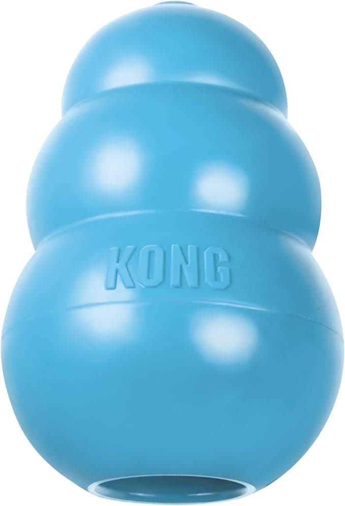 KONG Puppy Toy (Small)