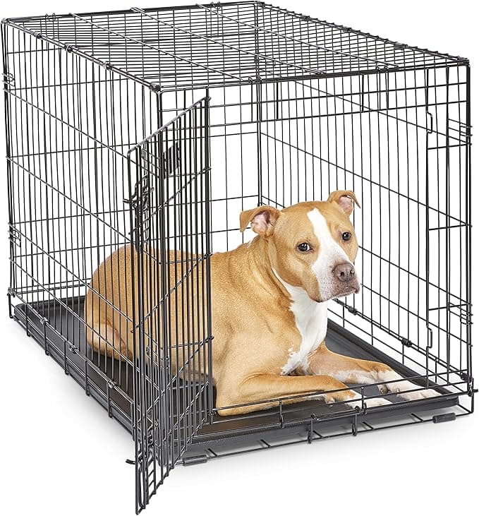 MidWest Homes for Pets 36-Inch iCrate for Medium-Large Breeds, 41-70 lbs, Single Door Folding Dog Crate with Divider Pan
