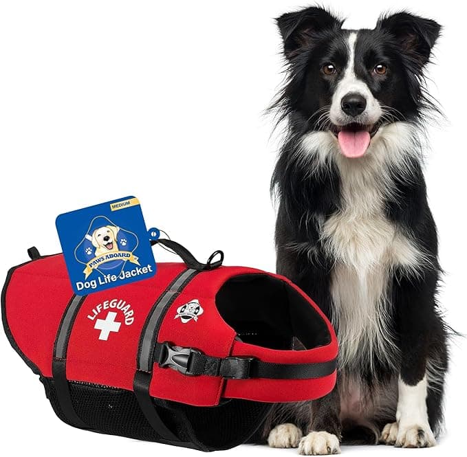 Paws Aboard Dog Life Jacket - Swimming Vest for Dogs, Adjustable, Reflective, Comfortable, Multiple Colors, Patterns, XX