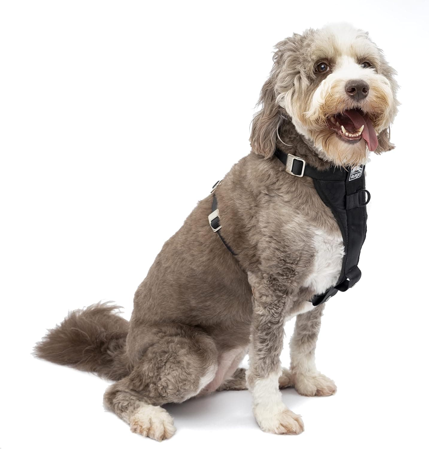 Kurgo Enhanced Strength Car Harness