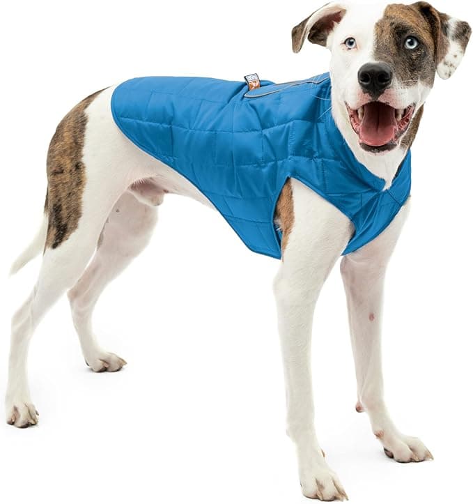 Kurgo Loft Dog Jacket - Reversible Cozy Coat for Outdoor Adventures - Water Resistant - Athletic Fit - Machine Washable