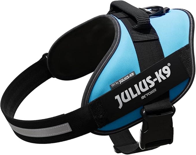 Julius-K9, 16IDC-AM-2, IDC Powerharness, Dog Harness, Size: 2, Aquamarine