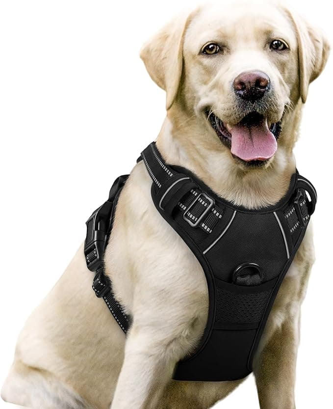 rabbitgoo Dog Harness No Pull with 2 Leash Clips, Adjustable Soft Padded, Reflective Oxford No Choke Pet Vest with Easy