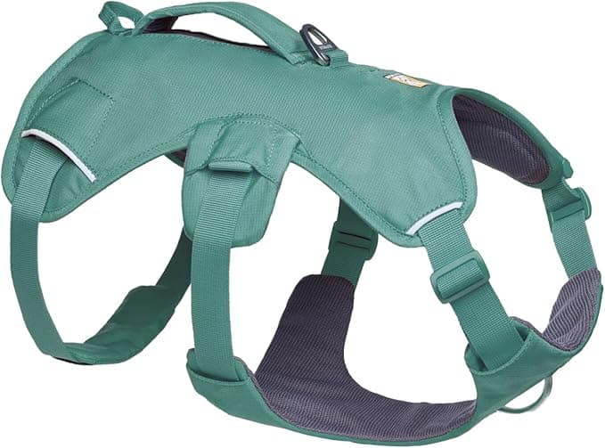 Ruffwear, Web Master, Multi-Use Support Dog Harness, Hiking and Trail Running, Service and Working, Everyday Wear, River